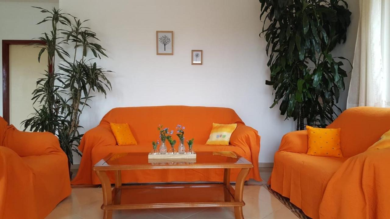 Bodul Vacation Apartment Zaton  Exterior photo
